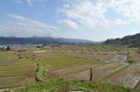 田植え前の椹平の棚田の写真