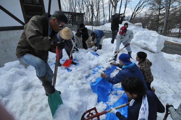 雪室りんごの掘り出し作業の様子の写真