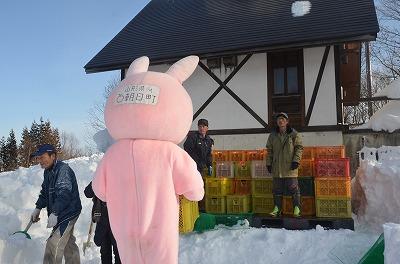 雪室りんご