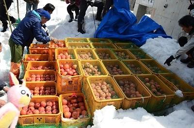 雪室りんご