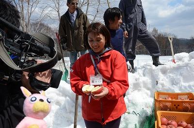 雪室りんご