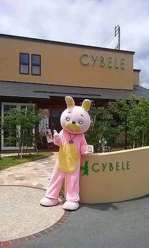 ウサヒシベール半日店員
