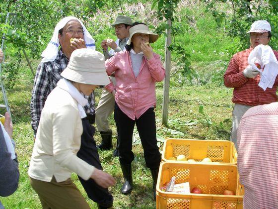 りんごを食べて一休みする人達の写真