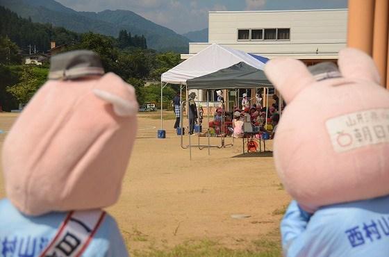ウサヒ、一日救急隊長、朝日町