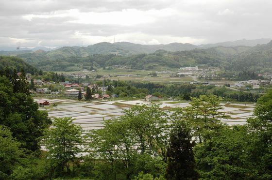 (写真)棚田の西側に位置する道路から見る