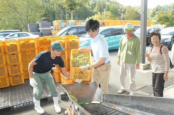 プライベートで訪れていた鈴木憲和衆議院議員が仕込みの機械にブドウを入れるお手伝いを体験している様子の写真