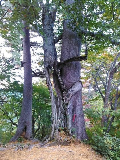 朝日連峰、登山、ウサヒ、大朝日岳、朝日町、町民登山