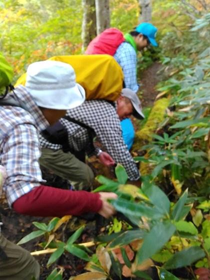 ウサヒ、弟子、登山、朝日連峰、大朝日岳