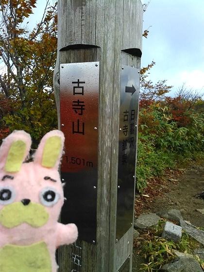 ウサヒ、弟子、登山、朝日連峰、大朝日岳