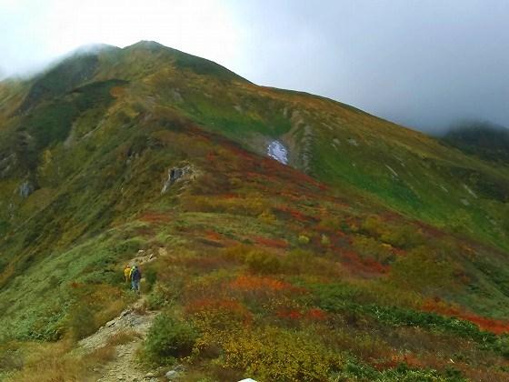 朝日町、登山、町民登山、ウサヒ、朝日連峰、大朝日岳、ヒメサユリ