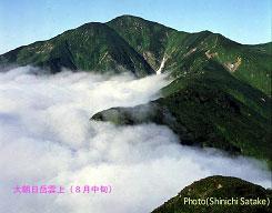 大朝日岳雲上（8月中旬）の写真