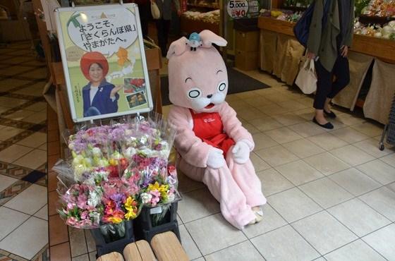 弟子ウサヒ、東京