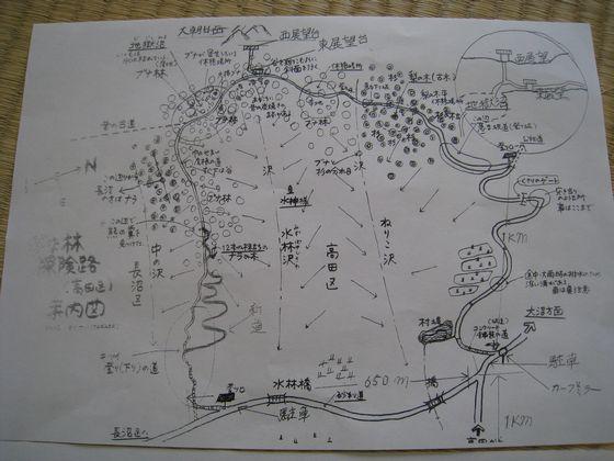 探索コースを描いた案内図の写真