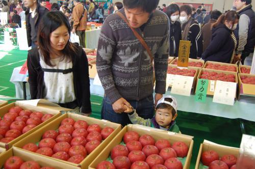 りんご品評会展示の写真