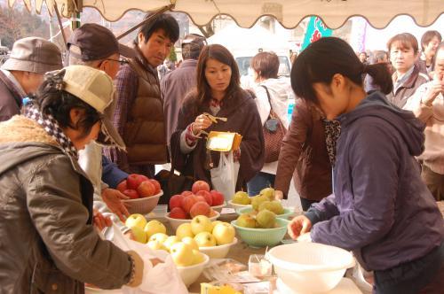 りんご販売の写真2