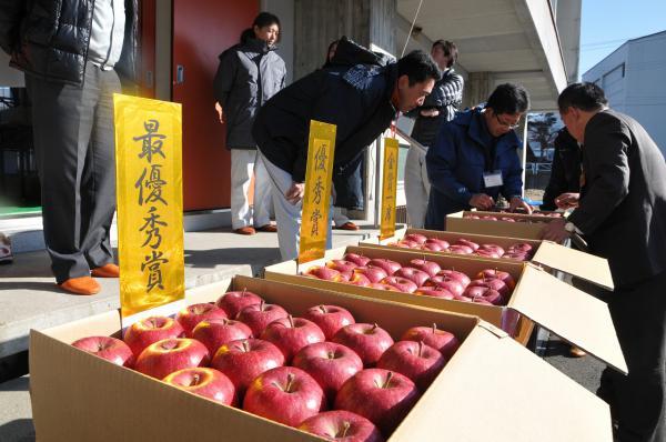 りんご品評会の写真