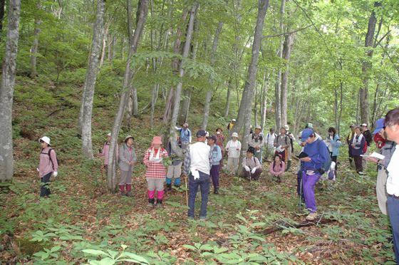 ブナの森探索会の様子の写真16