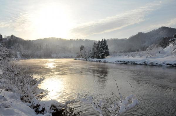 最上川の川岸にて撮影された朝日が川面に映っている写真