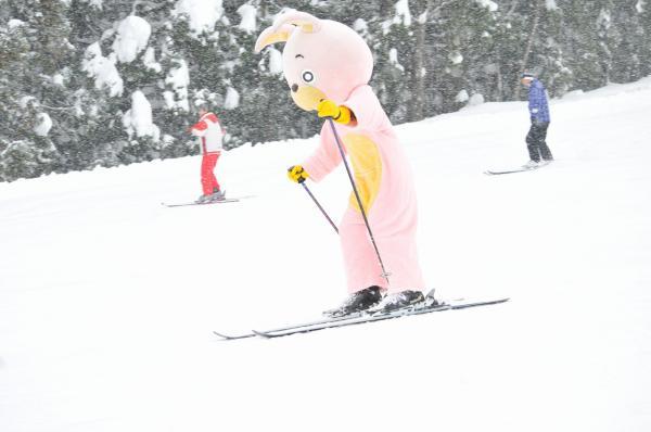 スキーの様子の写真4
