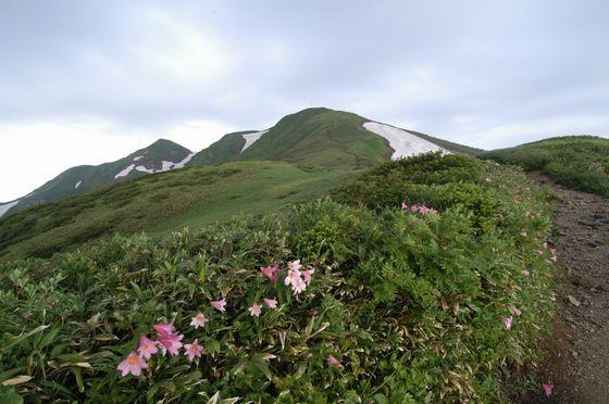 西朝日岳目前のところの写真