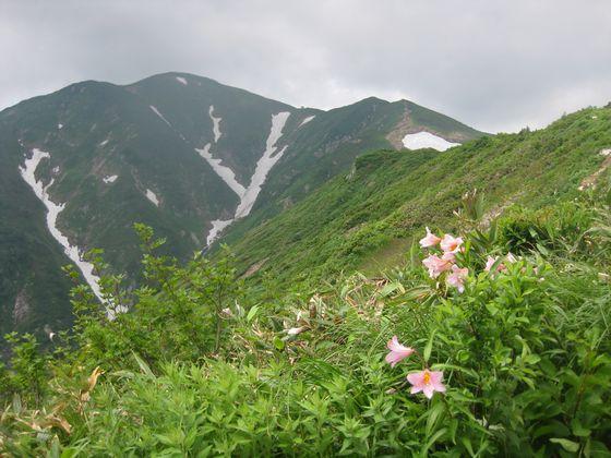 大朝日岳Y字雪渓の写真