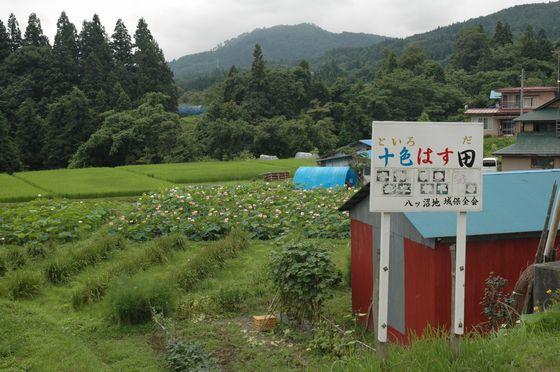 十色はす田の看板の写真