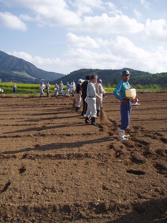 「菜の花の種まき・収穫祭」で畑の上で位置取りをする水元地区の方々の写真