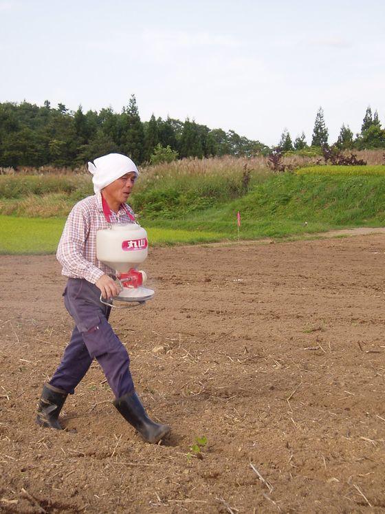 畑の上を歩きながら散粒機を使って種を蒔く男性の写真