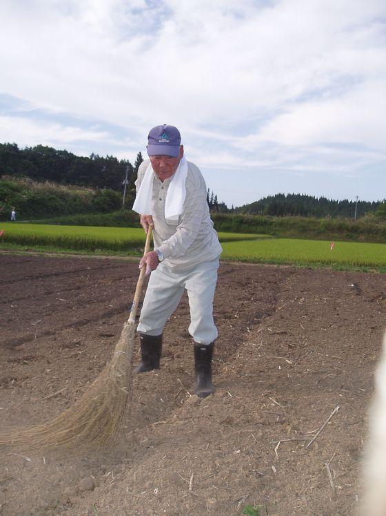 畑の上で蒔いた種に竹ぼうきを使って土をかけている男性の写真