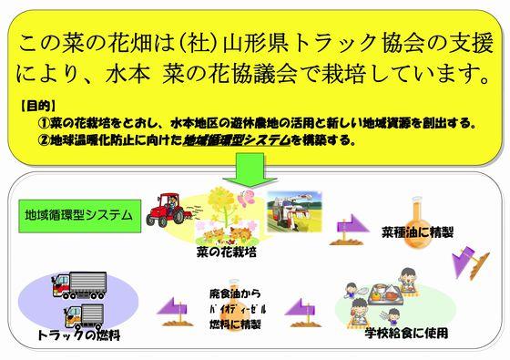 (図)この菜の花畑は社団法人山形県トラック協会の支援により、水本 菜の花競技会で栽培しています。