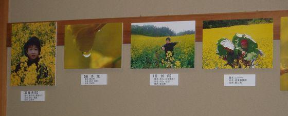 収穫祭の会場に飾られている第1回菜の花コンテスト受賞写真1