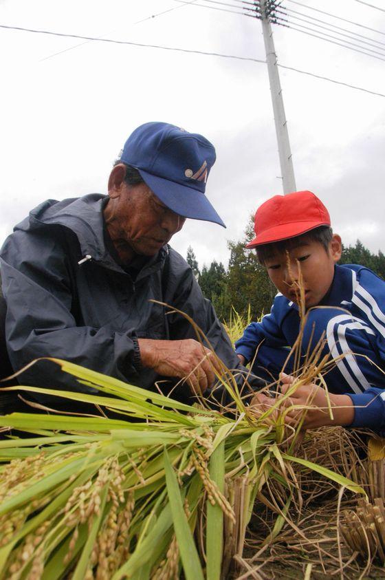 刈り取った稲を束ねている男児児童に稲を束ねるコツを教える講師の写真