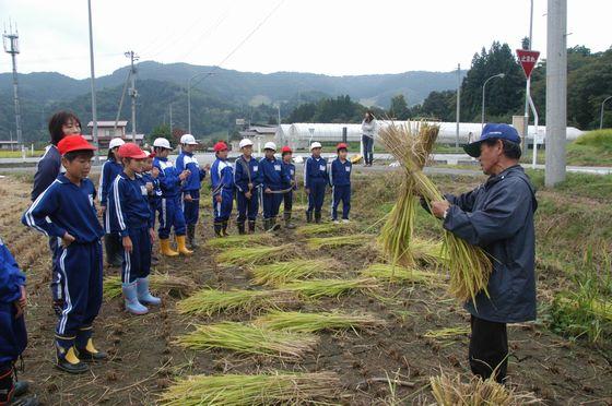 刈り取った稲を使った「杭がけ作業」の説明をする講師の佐竹さんと説明を聞く児童たちの写真