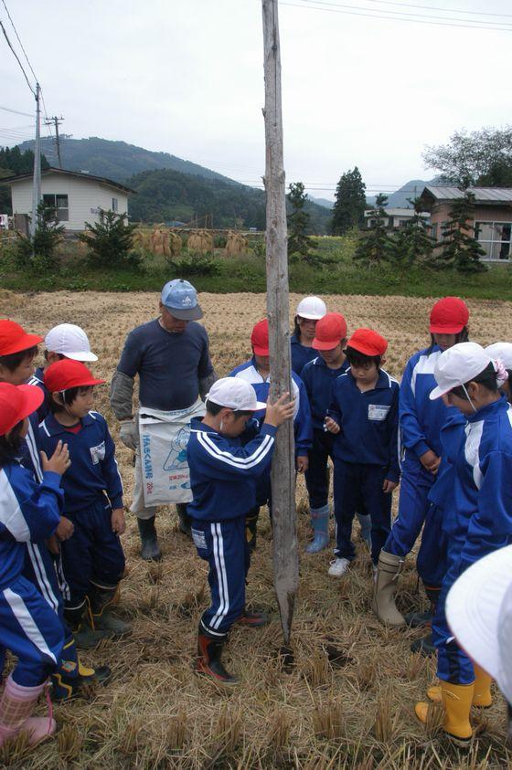 田んぼにあけた穴に稲杭を立てようとする男児児童と見つめる児童たちと講師の写真
