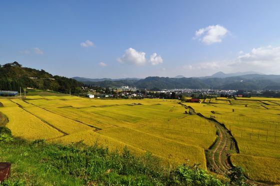 青空の下 稲刈りを直前に控えた椹平の棚田が広がる風景の写真1