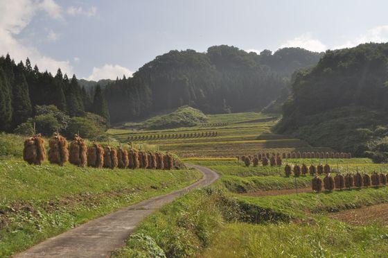 青空の下 重なり広がっている上郷地区の棚田の写真2