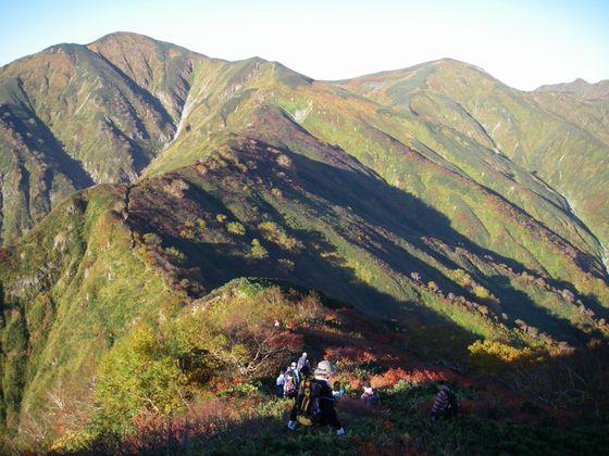 朝日が紅葉を輝かせ始める様子の写真