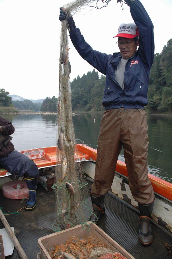 10月6日 アユの流し網漁体験／朝日町ホームページ トップページ