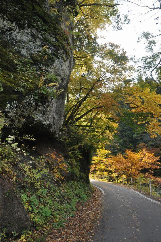 立木のゲートを超えて間もなくの付近の様子の写真