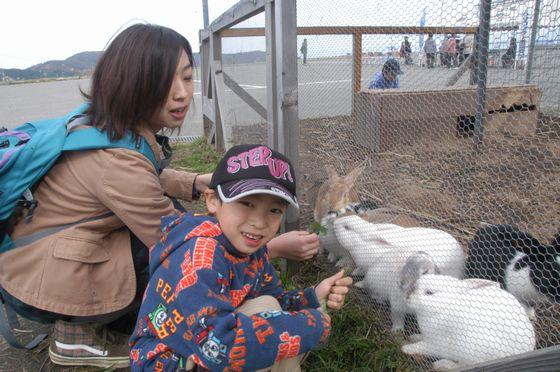 ウサギとのふれ合いコーナーの写真