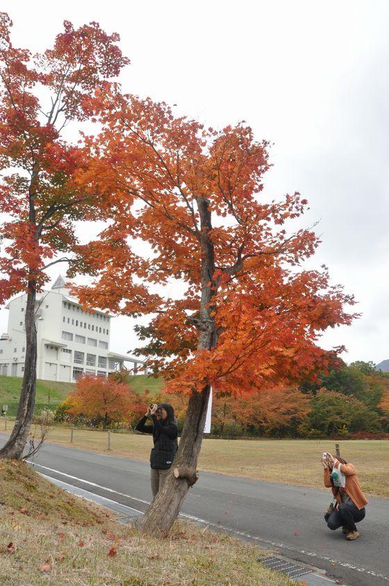 紅葉を撮影している人の写真