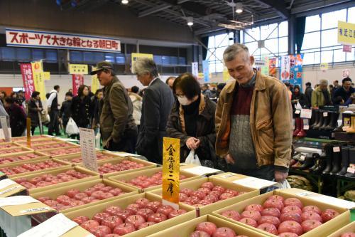 品評会のりんごが展示されている様子の写真