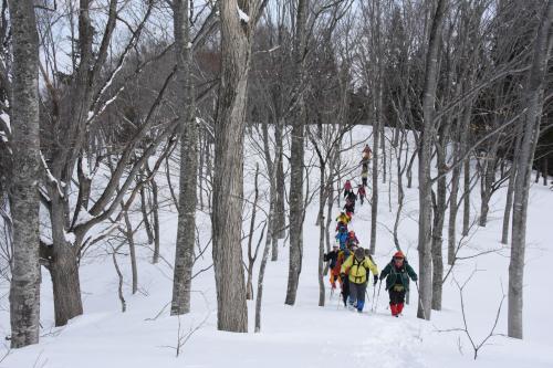 雪道を行く参加者の写真1