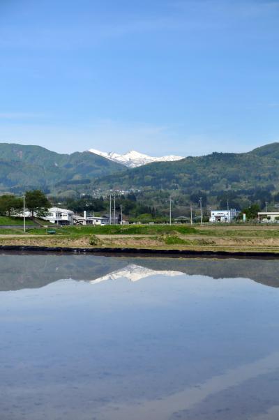 四ノ沢地区の写真