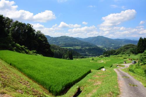 上郷（花畑）の棚田の写真