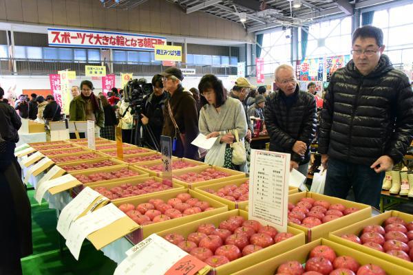 品評会のりんごが展示されている様子の写真