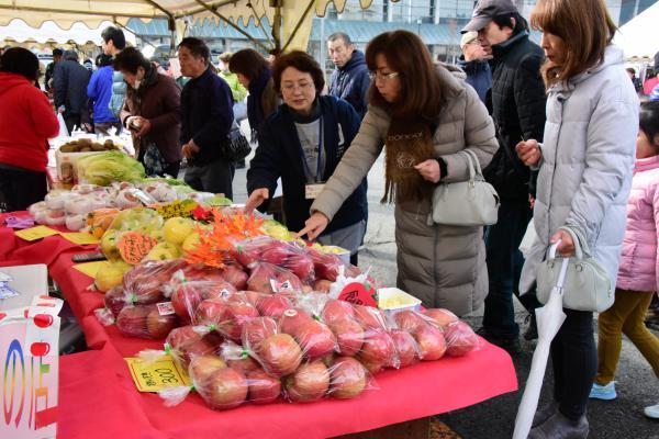 体育館外のテントコーナーで今が旬の朝日町のりんごを販売している様子の写真