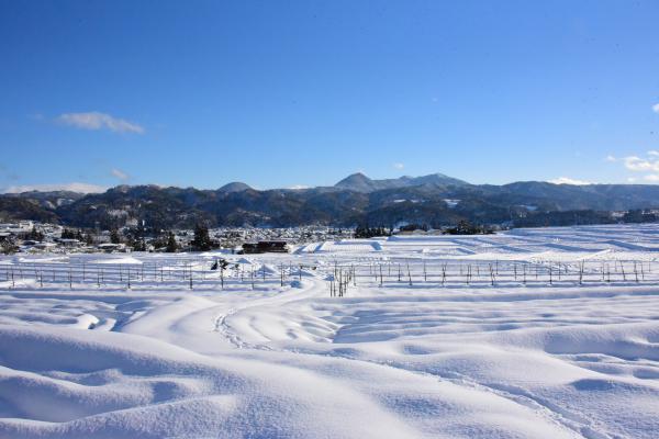 朝日町の雪景色の写真