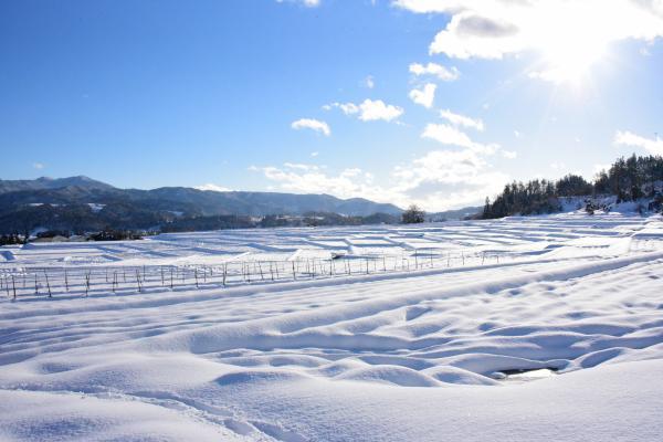 雪の積もった椹平の棚田の写真