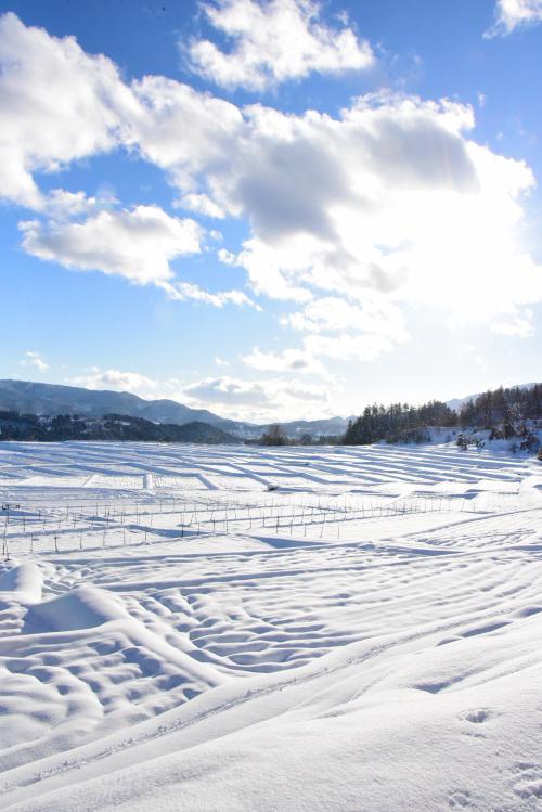 12月14日 冬の晴天、雪景色めぐり／朝日町ホームページ トップページ
